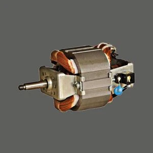 Soymilk Motor
