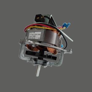 Enfas serie motor
