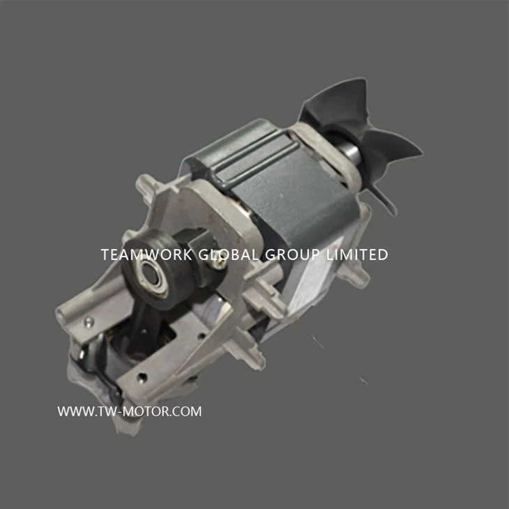 Portable Sputum Aspirator Motor